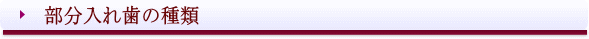 西条市 入れ歯 東予歯科 部分入れ歯の種類