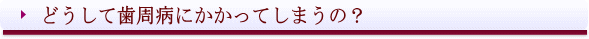 西条市 東予歯科 どうして歯周病にかかるか